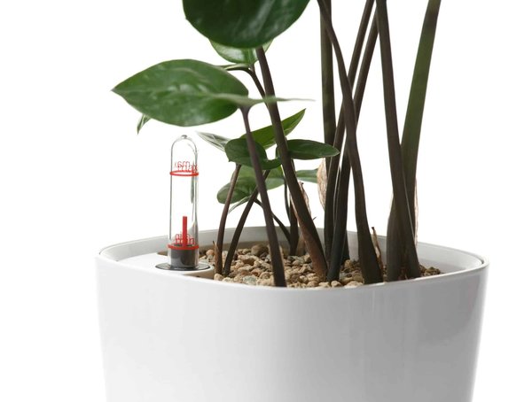 How Are Smart Plant Pots Facilitating Urban Indoor Gardening?
