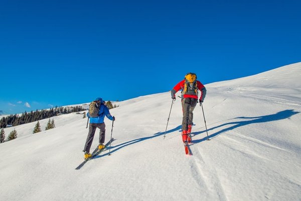 How to Select the Appropriate Size and Type of Backpack for a Hiking Trip with Your Dog?